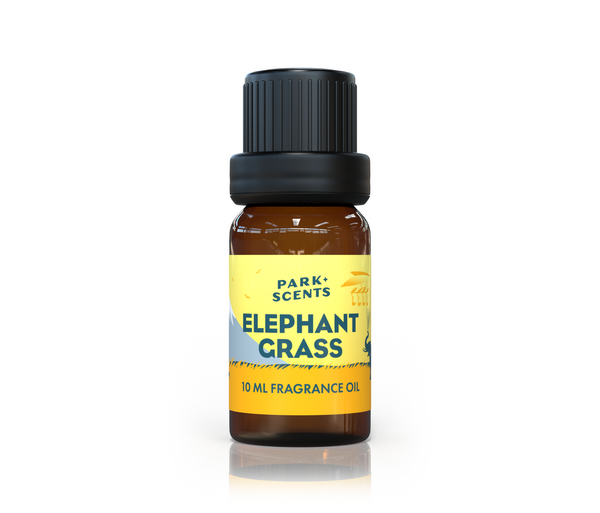 Elephant Grass Fragrance Oil