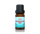 Disney Boardwalk Inn Inspired Diffuser Oil - Park Scents
