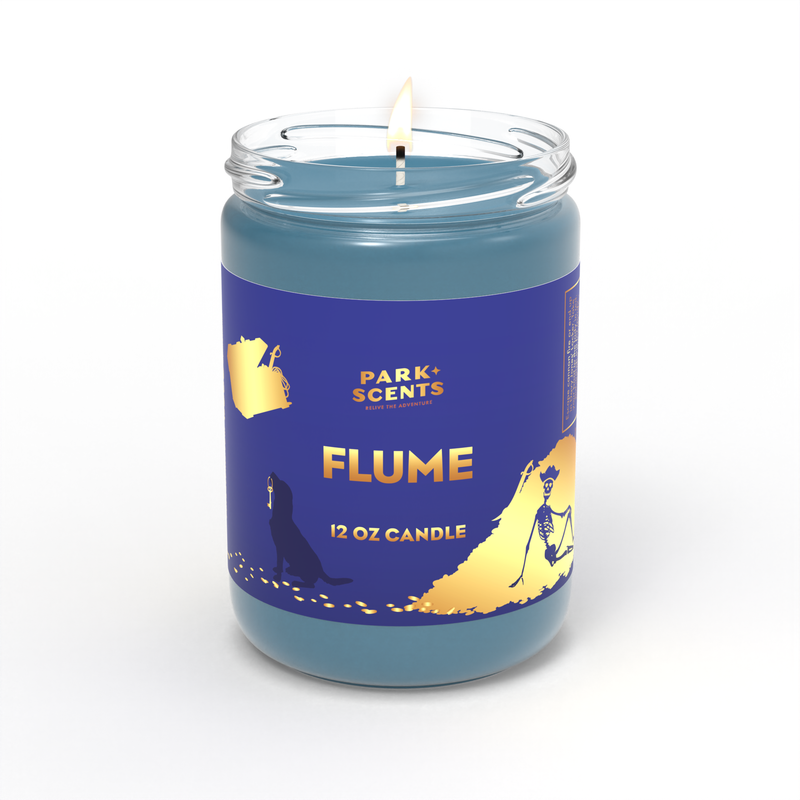 Disney Pirates of The Caribbean - Flume Candle - Park Scents