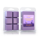 Disney Imagination Figment Wax Melts - Park Scents