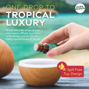 Poly Lobby Fragrance Oil – Smells Like the Polynesian Resort Hotel Lobby