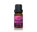 Disney Flight of Passage Cave Scene Inspired Diffuser Oil - Park Scents