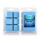 Disney Flight of Passage Wax Tarts - Park Scents