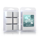 Disney Contemporary Resort Wax Melts - Park Scents