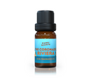 Disney Coronado Springs Diffuser Oil 10ml - Park Scents