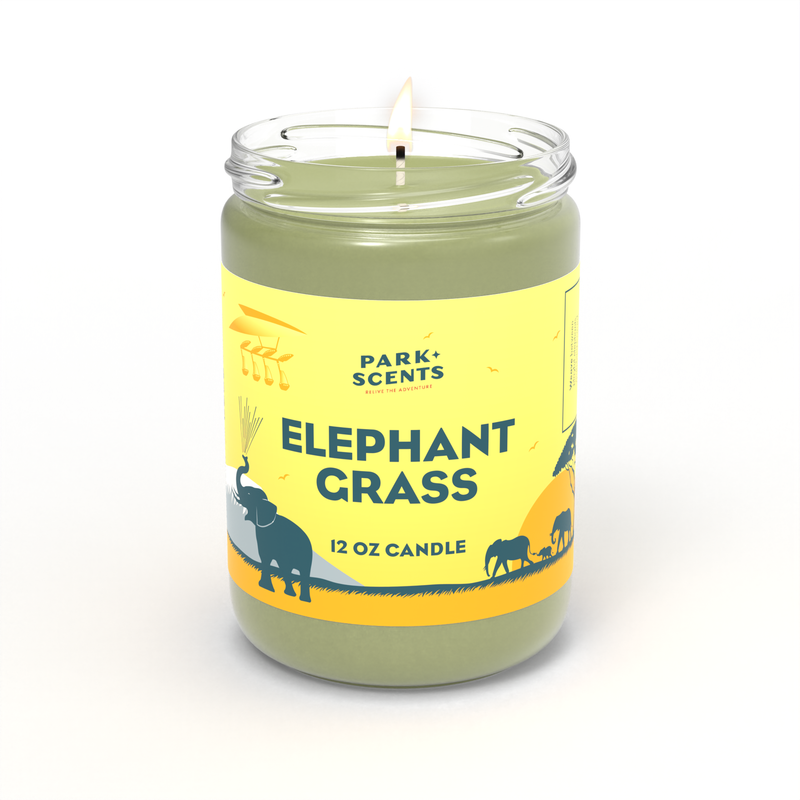 Elephant Grass Candle - Park Scents