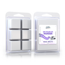 100 Years of Wonder Wax Melt